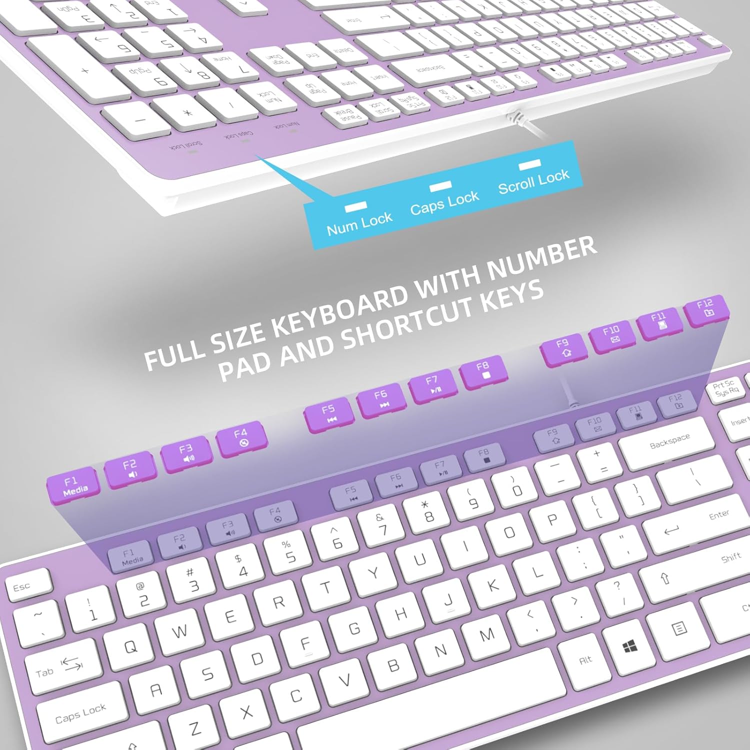 Wired USB Keyboard, Comfortable Quiet Chocolate Keys, Durable Ultra-Slim Wired Computer Keyboard(QWERTY) for PC, Windows 11/10/8/7/XP/Vista KB1430 (Purple, Wired Keyboard for Windows)