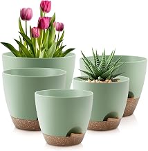 INKULTURE Flower Pot for Indoor Plants – Self Watering Plant Pot Set of 5, Multi Size Plastic Planter with Drainage Hole & Watering Lip (7/6.5/6/5.5/5 Inch) Green | Pots for Home, Office & Succulents