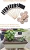 20 Piezas Mini Pizarras de Madera y Etiquetas de Repuesto, Etiquetas de Comida para Buffet de Fiesta, Pizarra para Letreros de Mensaje, Tarjetas de Lugar para Bodas, Fiesta de Cumpleaños 7