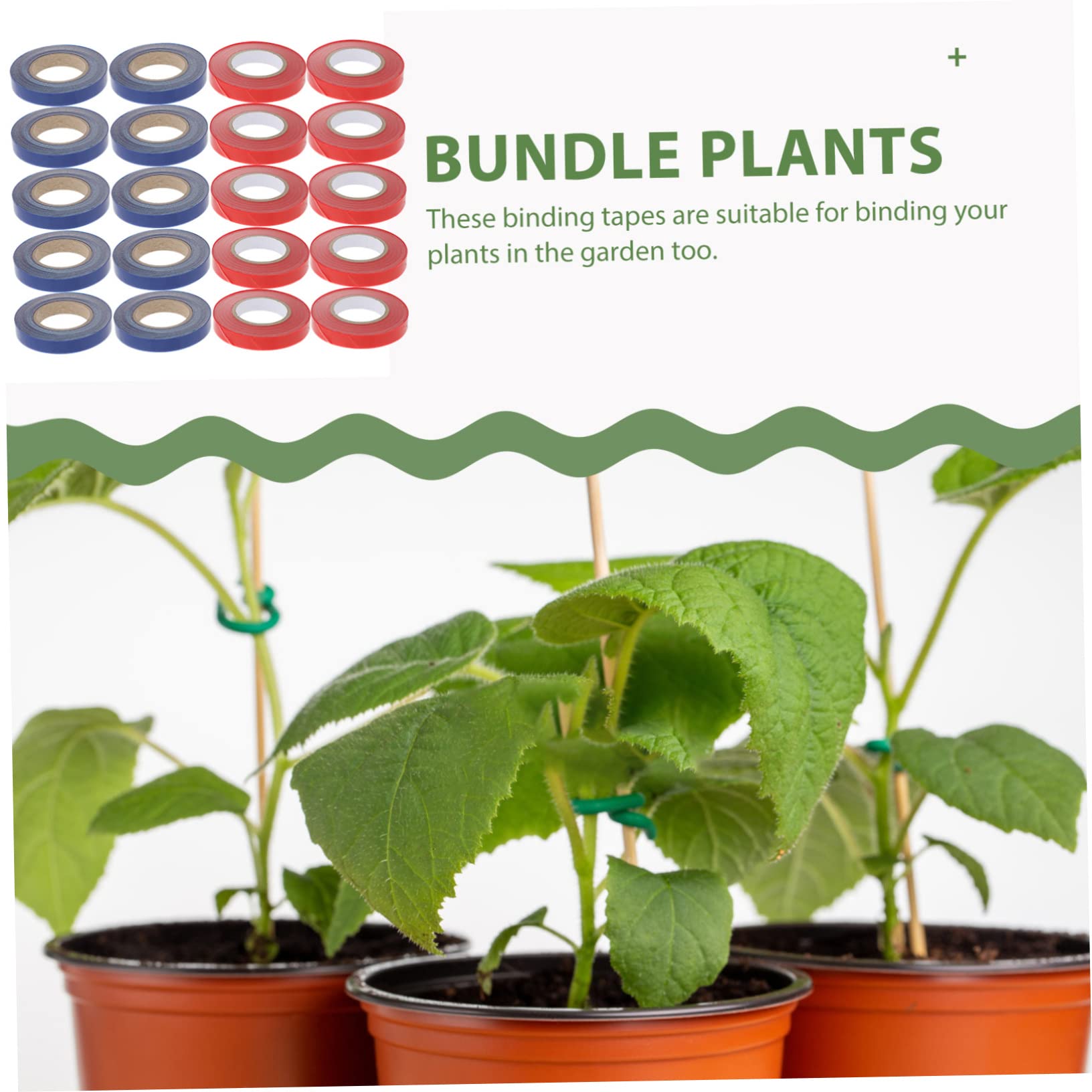 Happyyami Ruban Adhésif de Jardin pour Plantes Grimpantes 20 Rouleaux PVC | Élastique et Réutilisable, pour Greffage Intérieur, Branches et Jardinières, avec Agrafes en Acier Inoxydable