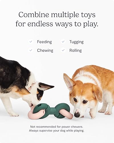 Miniatura 5 de FABLE Twin Falcon - Juguete para perros dispensadores de golosinas con múltiples cavidades para alimentos secos y untables, perfecto para jugar