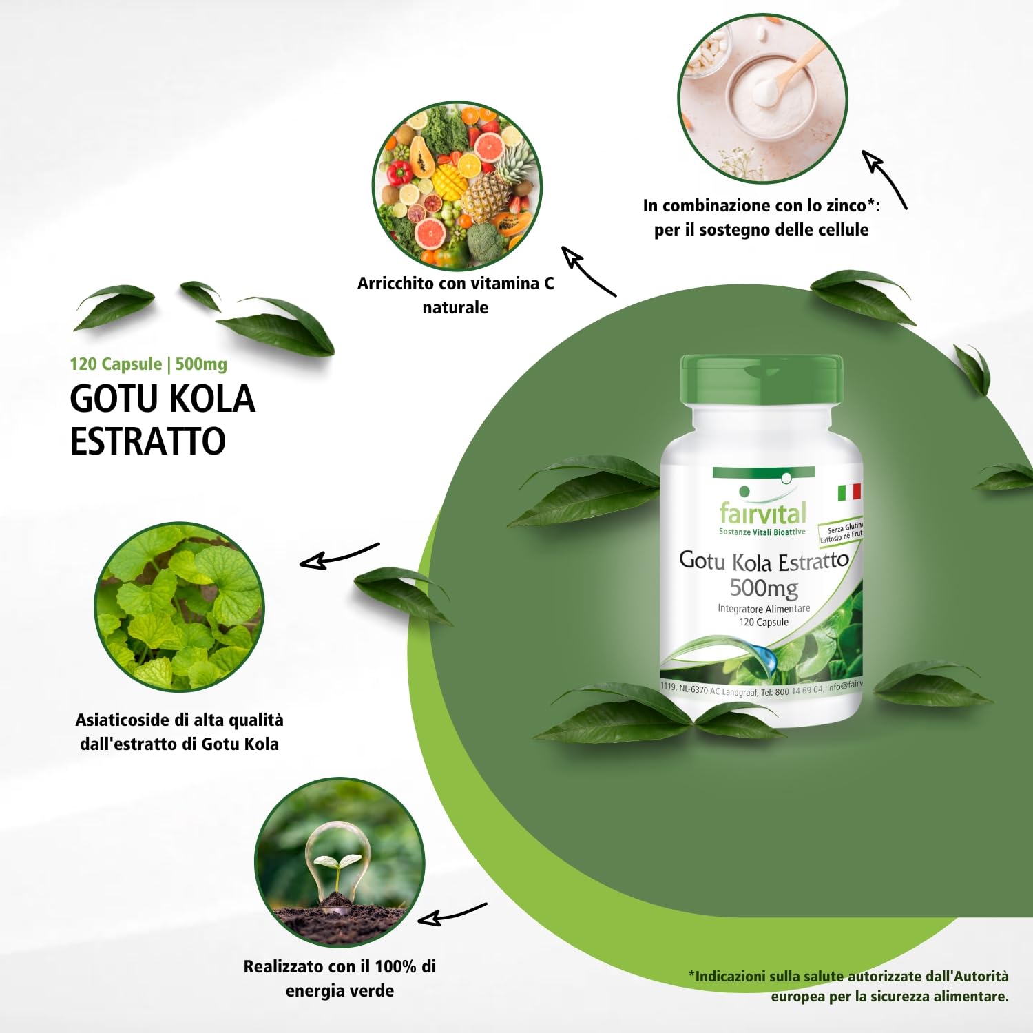 fairvital Centella Asiatica, 120 capsule, con 500 mg di estratto di Centella Asiatica per capsula, ALTO DOSAGGIO, VEGANO