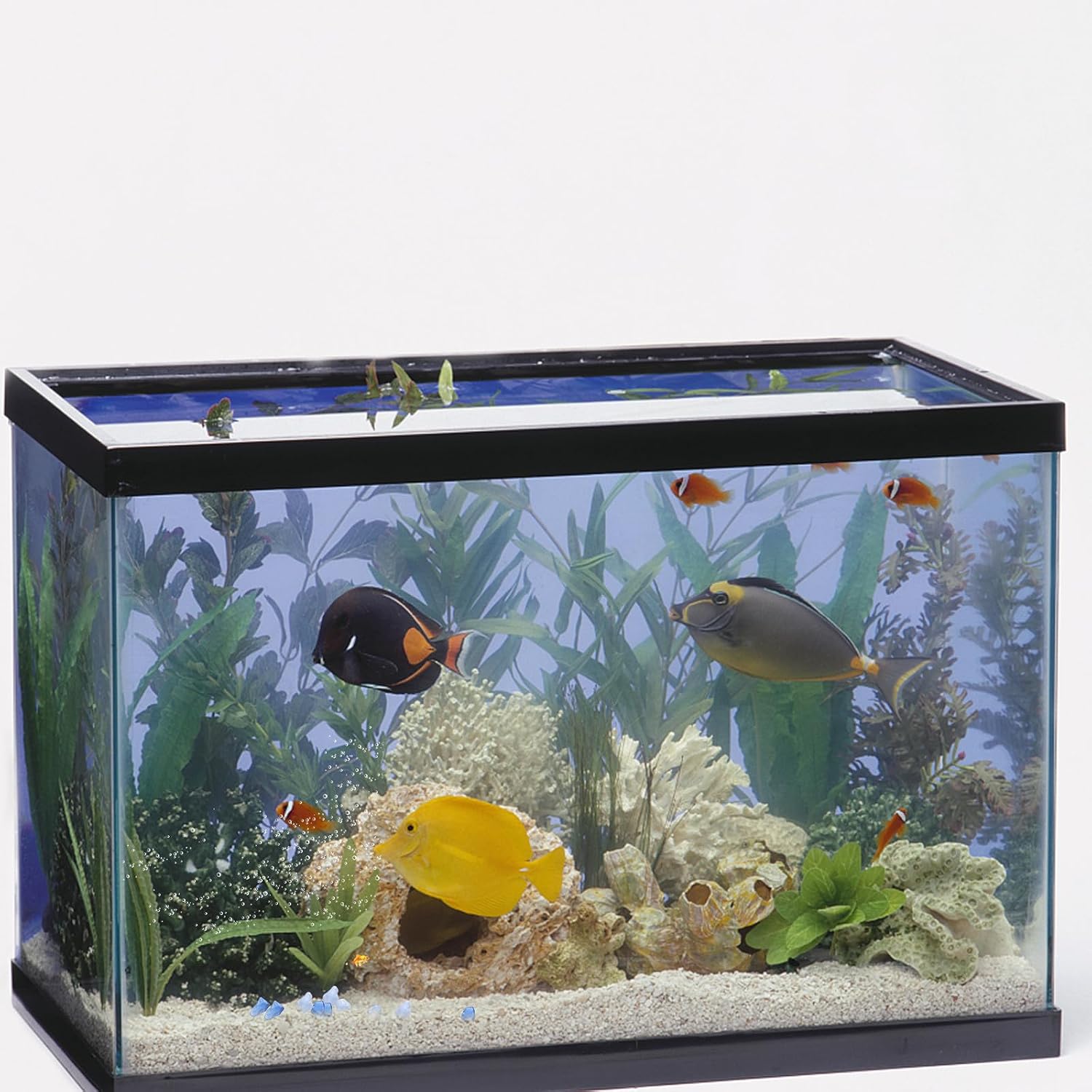 Natural Blue Glass Sand Rocks for Fish Tank Aquarium Decor Large Aquarium Rocks Landscaping Decoration Sturdy Fish Tank Pebbles to Decorate
