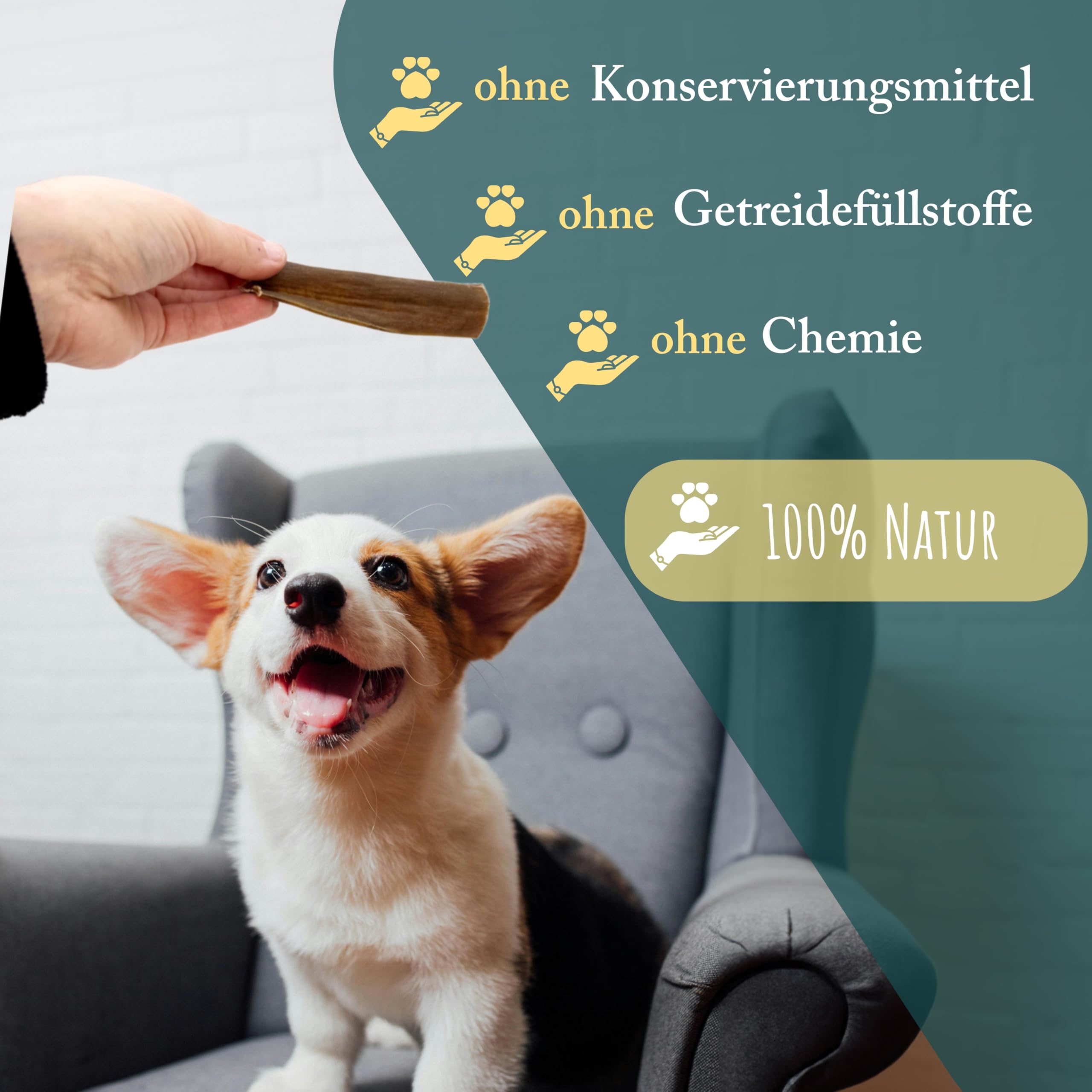 Getrocknete Hirschhaut für Hunde | 5 kg | natürlicher Kauartikel | 100% Hirsch | Hirschhautstreifen Hund | Kausnacks für Hunde von Wuffsnacks