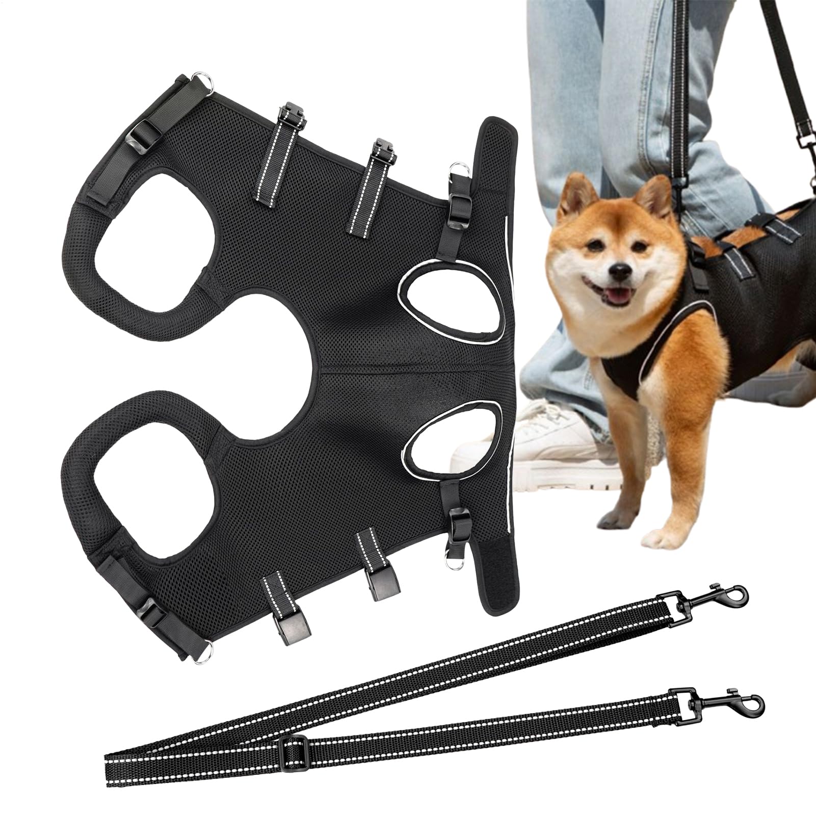 Soutien des jambes pour chien âgé avec un harnais de transport réglable adapté
