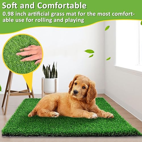 Miniatura 4 de kathson Almohadilla de césped para perro, 36 x 36 pulgadas, almohadilla de césped artificial para perros, cachorro, césped, tapete de orina de