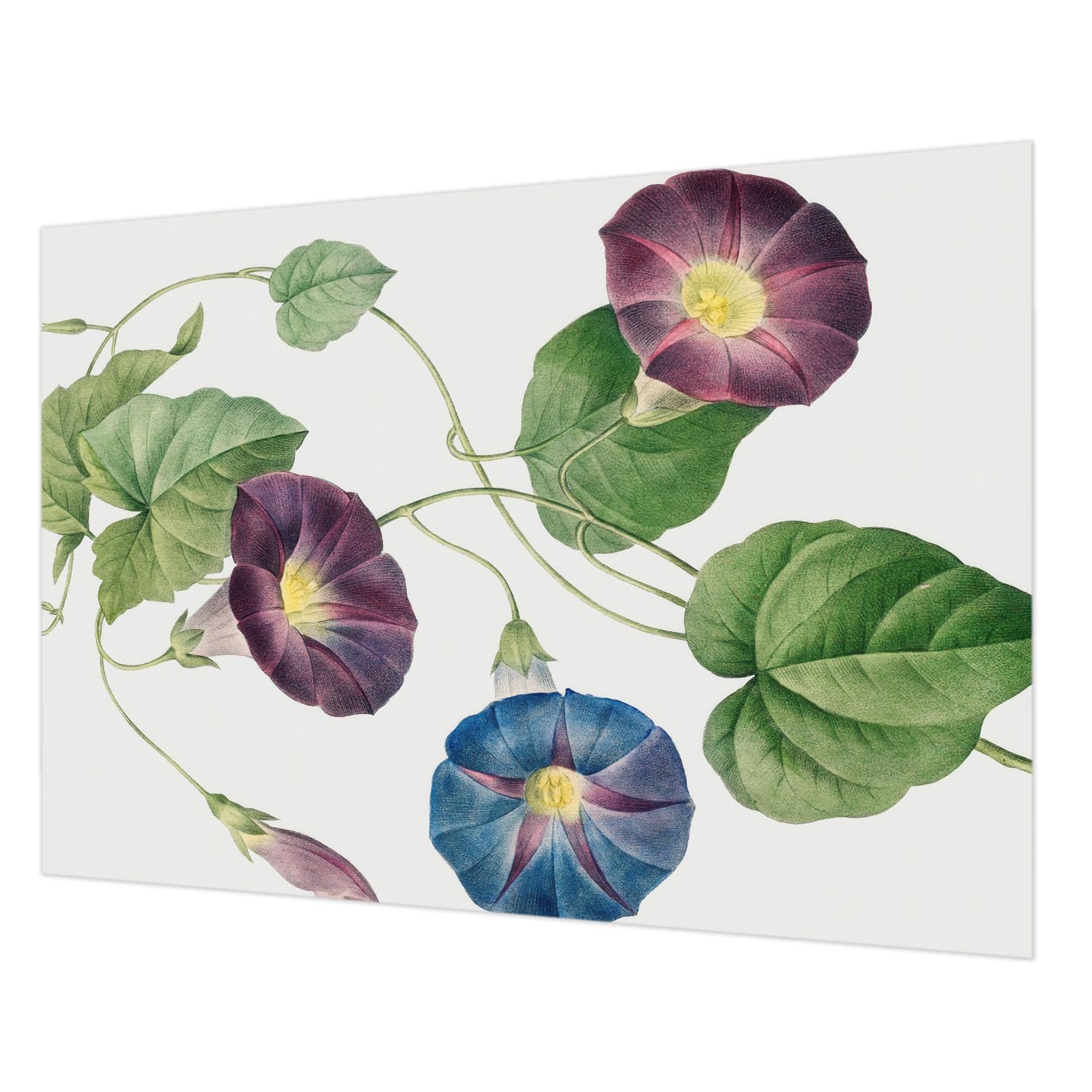 Papier peint intissé 312x219 cm élégance florale pour salon