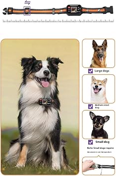 Wireless Dog Fence & Electric Dog Training Collar 2 in 1, GPS Dog Fence Pet Boundary Containment System, Waterproof & Rechargeable Receiver with 3 Warning Modes, Range 49-6561ft,C