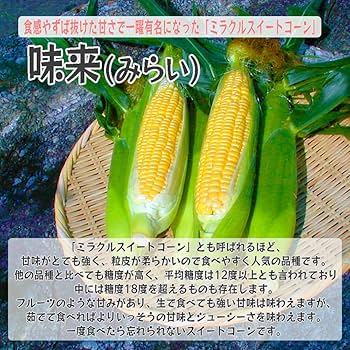 Amazon.co.jp: 味来 とうもろこし スイートコーン ミラクル