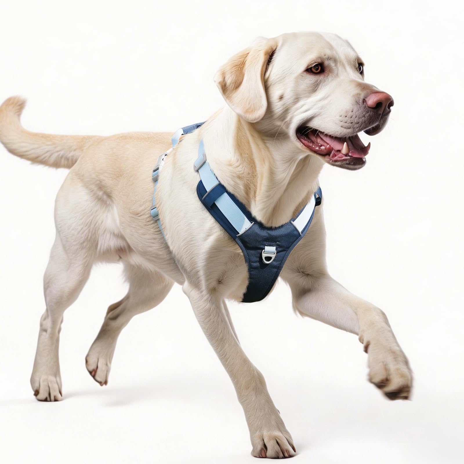 Harnais anti-traction grand chien XL bleu foncé ergonomique en Y