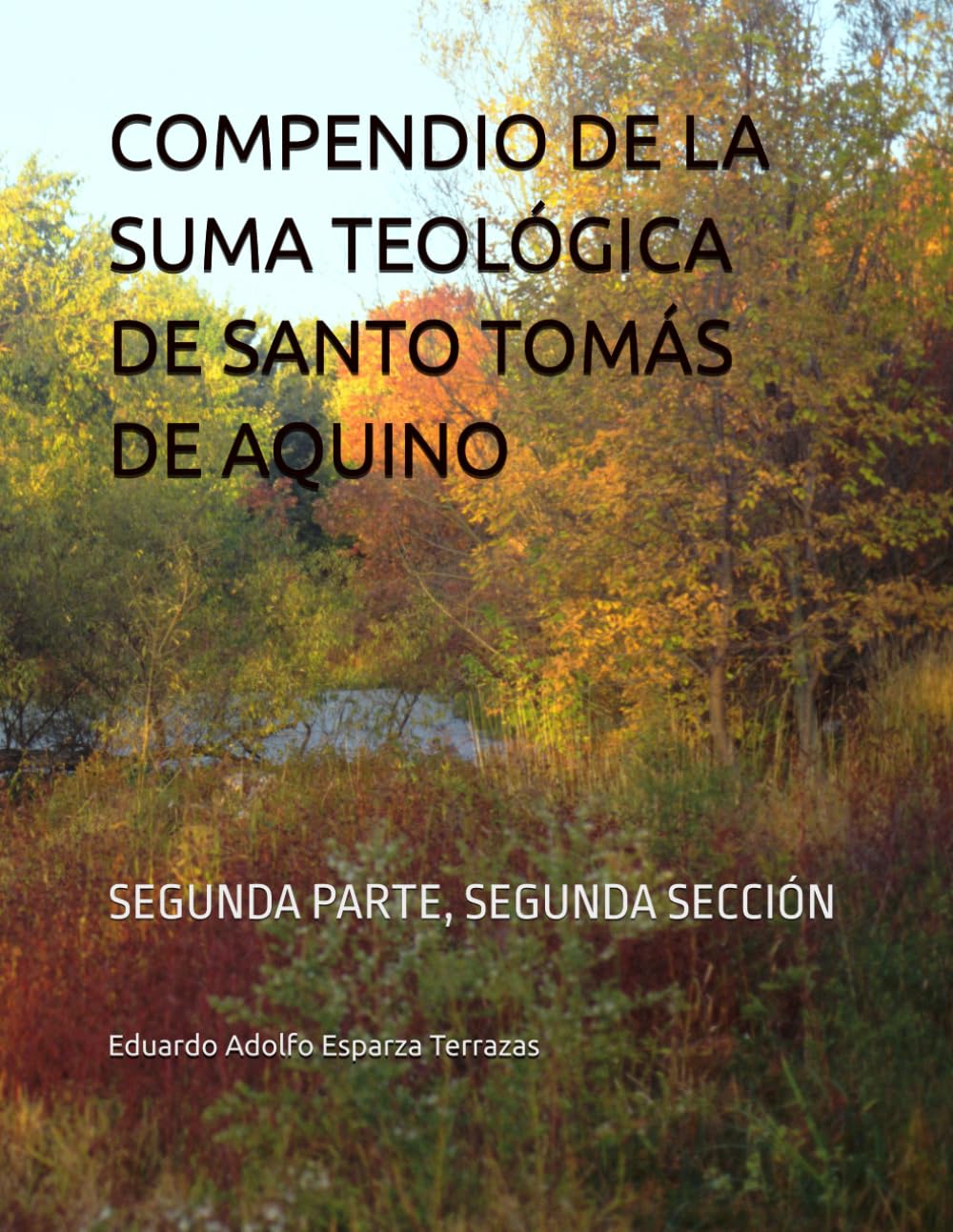 COMPENDIO DE LA SUMA TEOLÓGICA DE SANTO TOMÁS DE AQUINO: SEGUNDA PARTE, SEGUNDA SECCIÓN