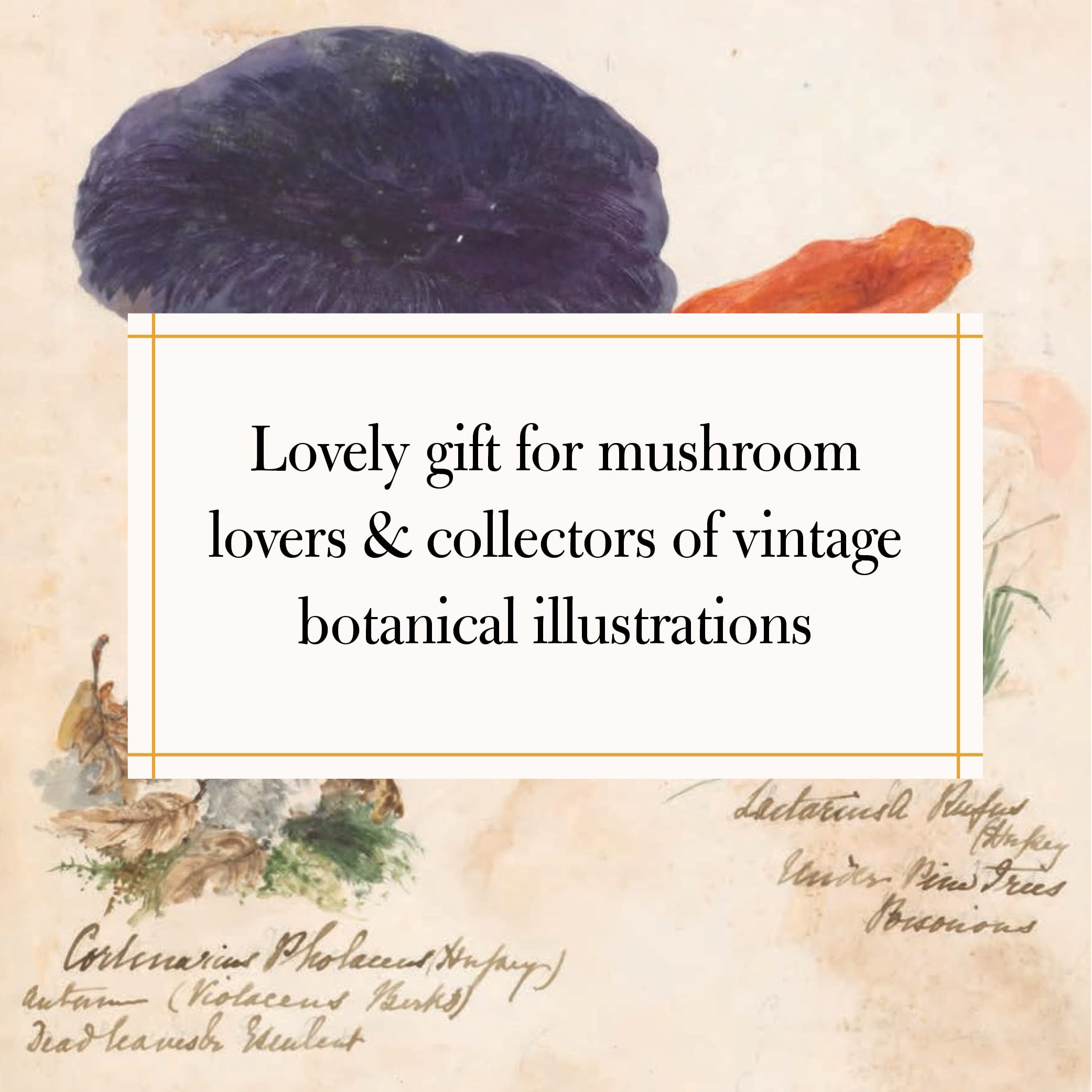 Fungi Collected in Shropshire and Other Neighbourhoods: A Victorian Woman's Illustrated Field Notes