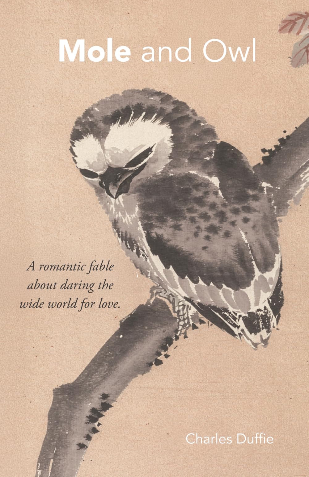 Mole and Owl: An Adventure Story of Courage, Friendship, and Love