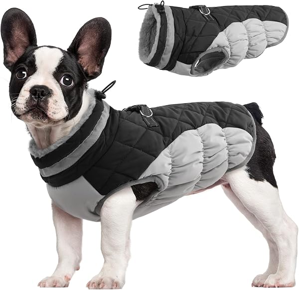 FUAMEY Dog Coat for Medium Dogs,Waterproof Dog Winter Jacket with Harness Built in Puppy Cold Weather Coats Reflective Pet Vest with Zipper Warm Fleece Dogs Snowsuit Windproof Black M - 1