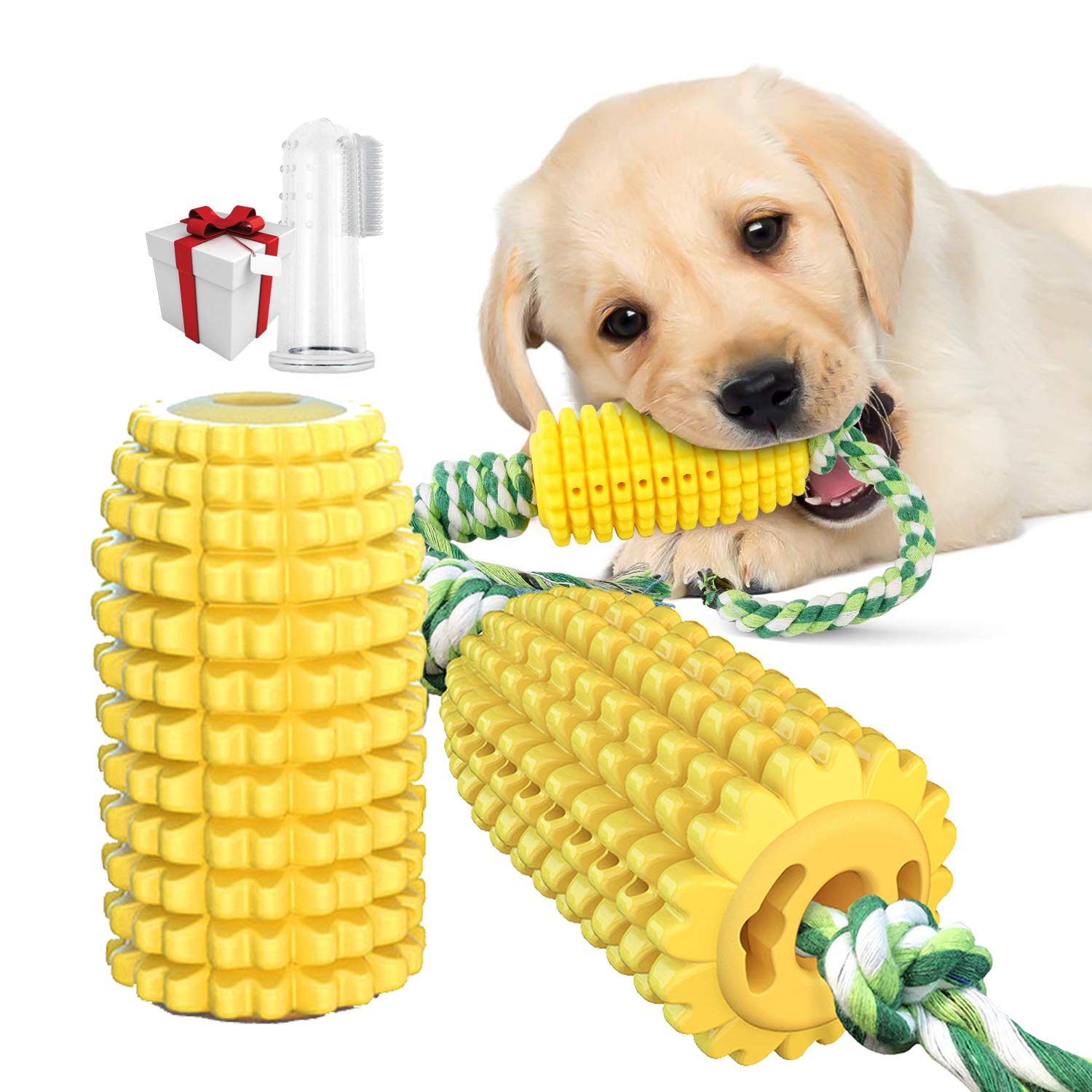 Why Corn Is Not Good For Dogs