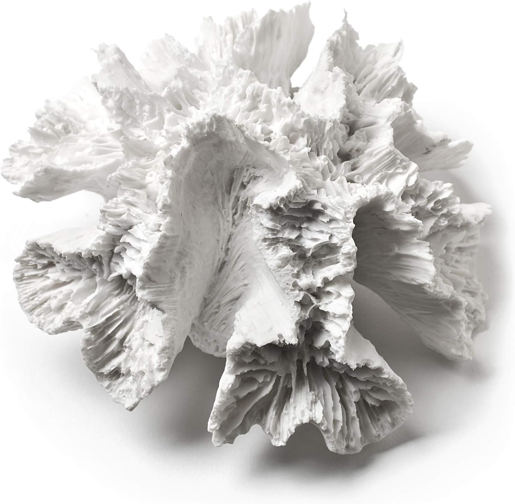 Abbott Collection White Flower Coral, 5 inches W