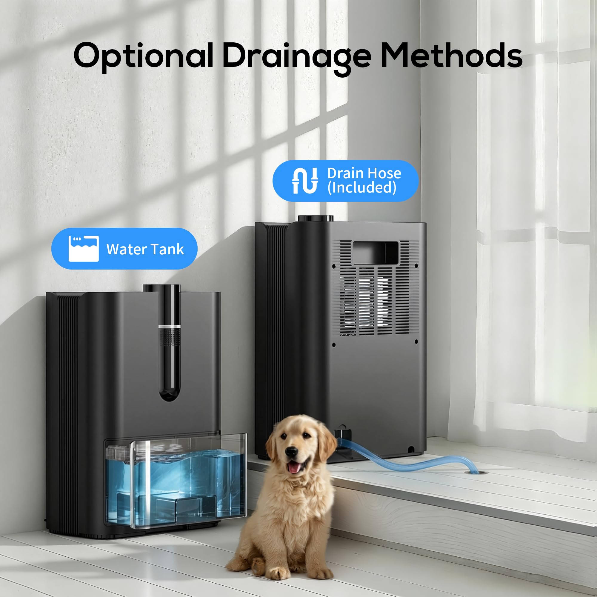 Deumidificatore Casa, 2500ML Dehumidifier per Casa Muffa, Deumidificatore Elettrico Silenzioso con Tubo di Scarico, Spegnimento Automatico, Modalità Sleep, Deumidificatori per Bagno,Camera,Armadio