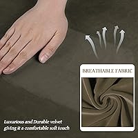 Vista 106 de WEERRW Fundas de terciopelo para sofá de 2 cojines, fundas de sofá de felpa de terciopelo de lujo de alta elasticidad, con parte inferior elástica