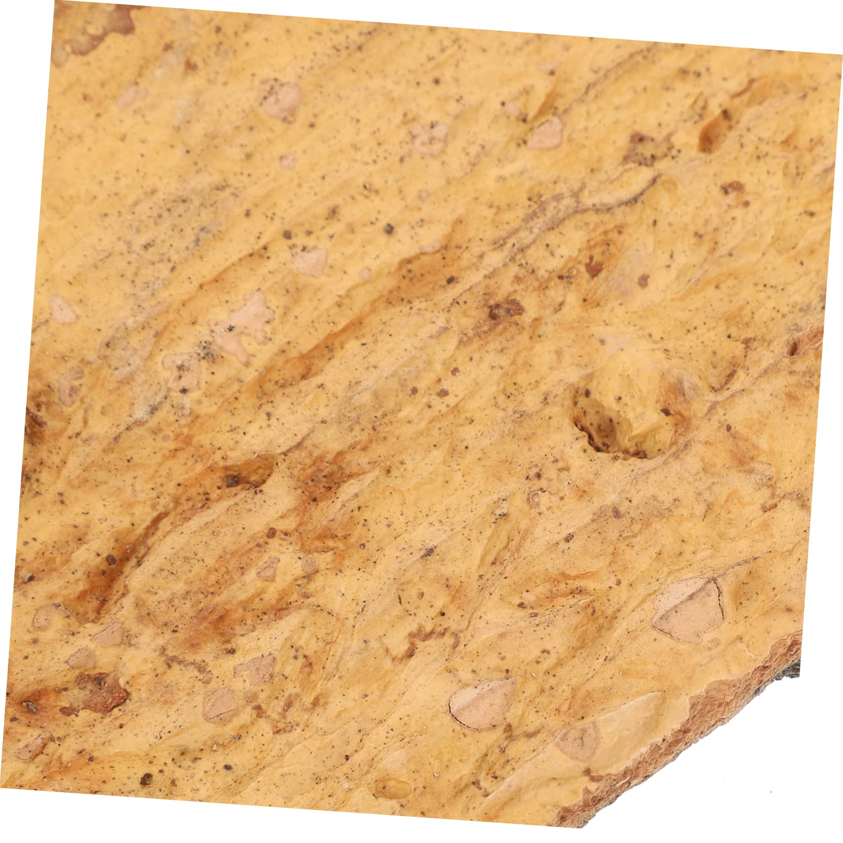 Mipcase 6piezas Accesorios De De Natural para Reptiles Decoración De Terrario De Material De Corcho para Acuáticos y Terrarios