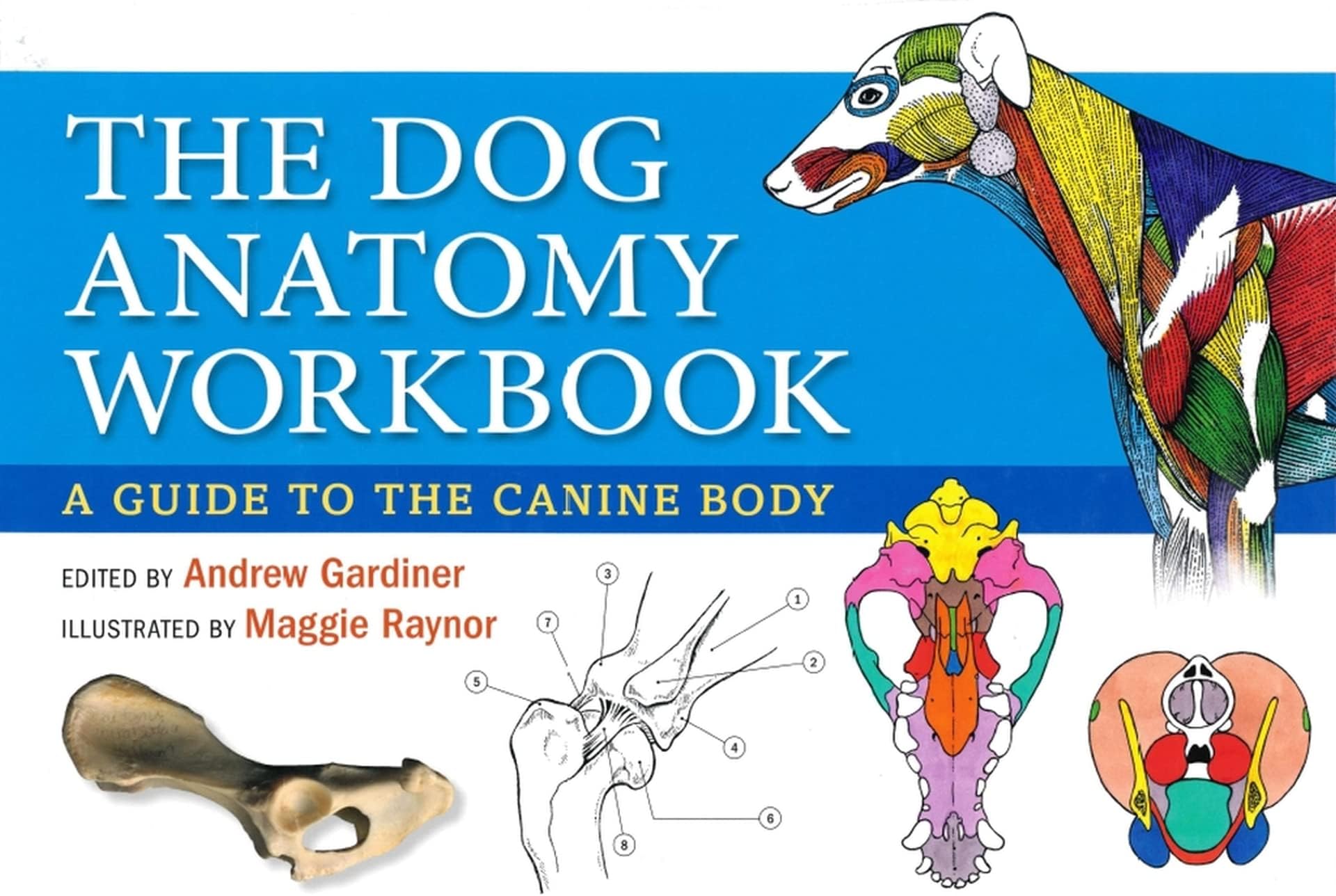 The Dog Anatomy Workbook: A Guide to the Canine Body