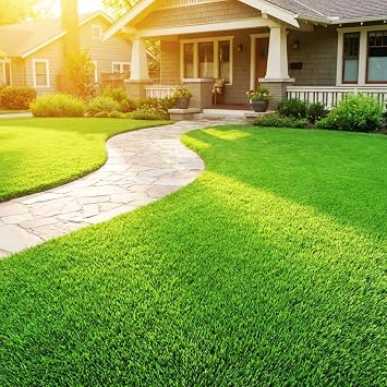 80000 Zoysia Grass Seed, Emerald Zoysia Grass Seeds for Lawn, Soft Dense Green Lawn, Shade and Drought Tolerant Seeds for Landscaping