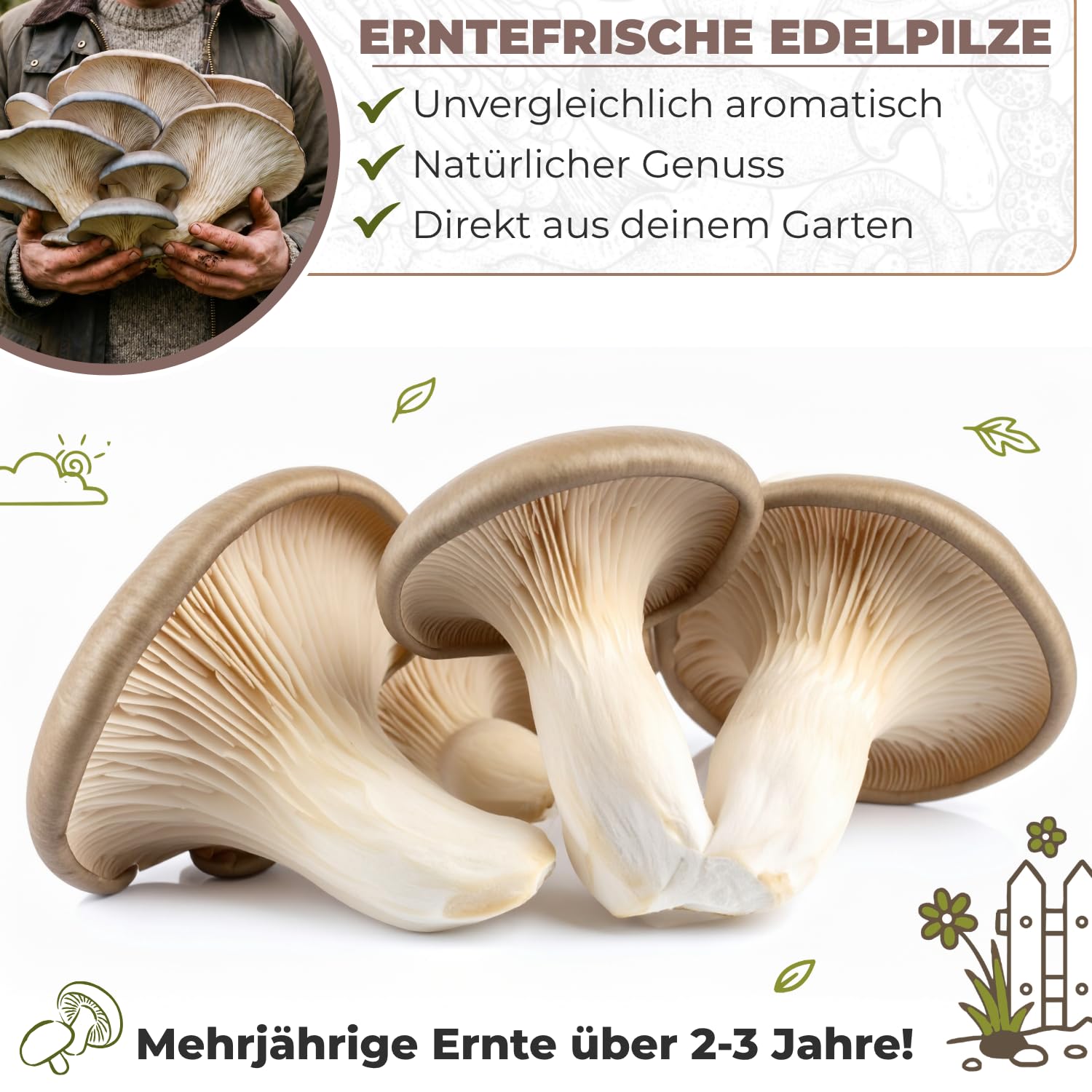 Hawlik Pilzbrut - Pleurote Kit de culture de champignons pour le jardin - Un jeu d'enfant pour créer votre propre champignonnière et récolter des pleurotes fraîches - Kit champignon