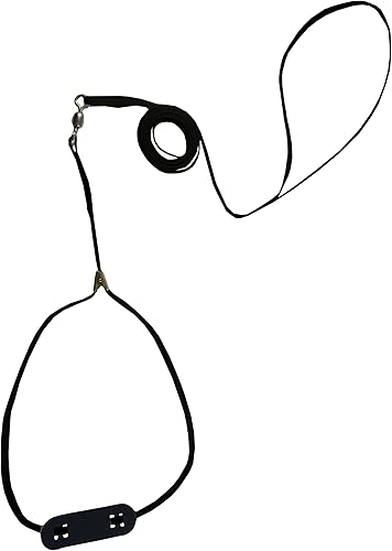 Resco Cordo-Hyde - Correa giratoria profesional para perros con giratorio integrado y almohadilla para el cuello, 316 pulgadas de ancho por 56