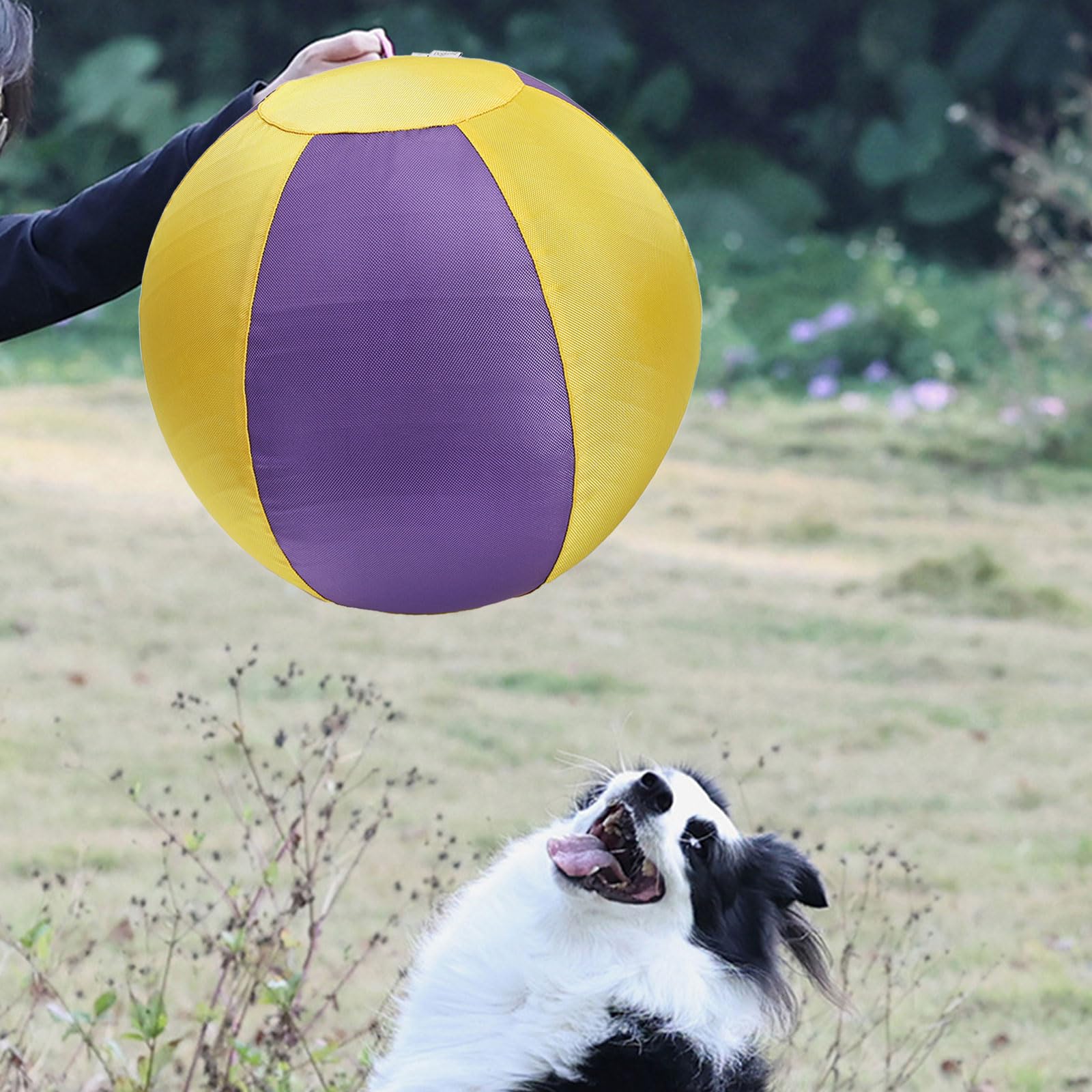Pies bawiący się nadmuchiwana duża piłka pies gra rzut interaktywnie piłka treningowa dla agresywnych gryzaków żucia stres trening