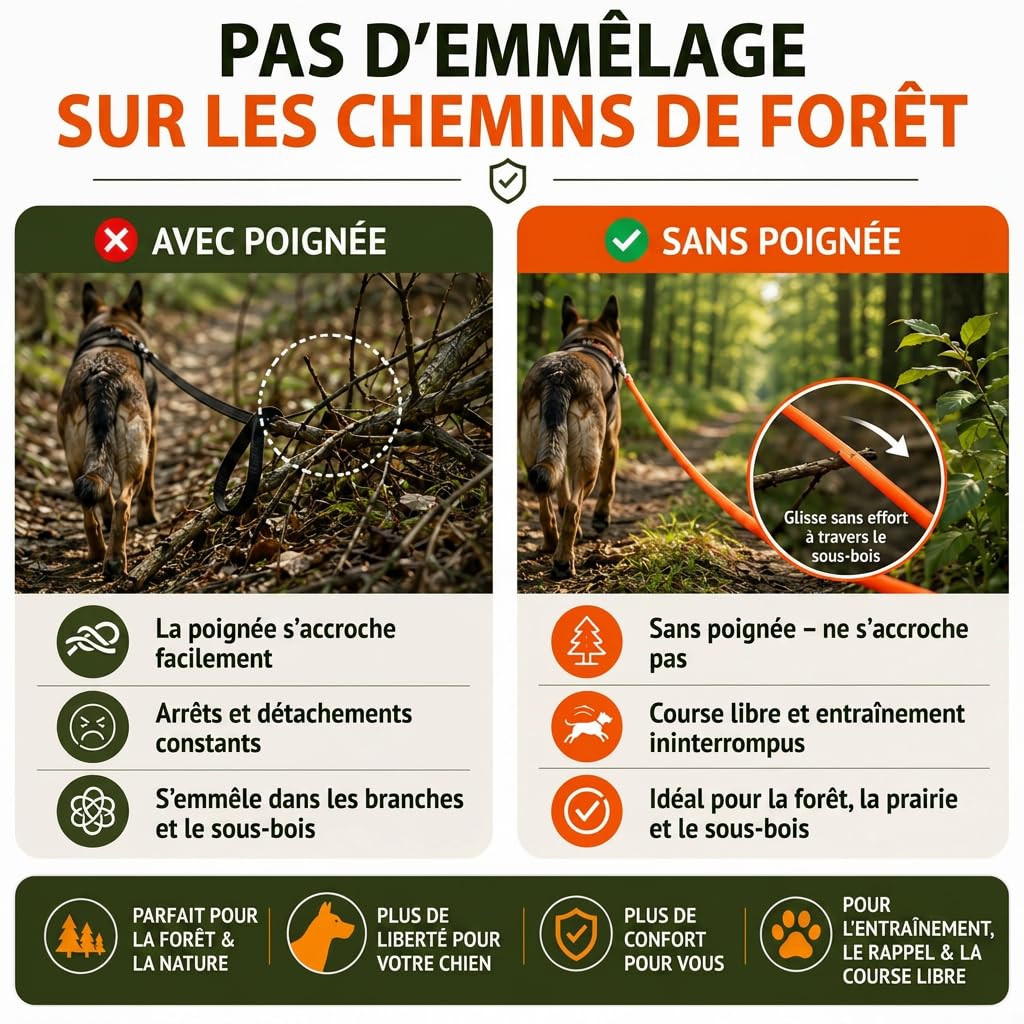 Romneys domaine Laisse - Orange (20m)