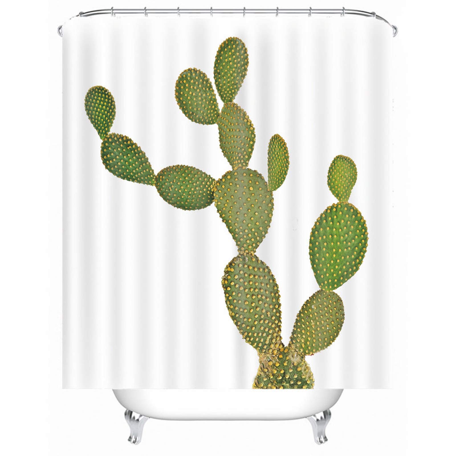 monstera acacoyaguensis Monstera acacoyaguensis – Heavy-Fenestrated Climber