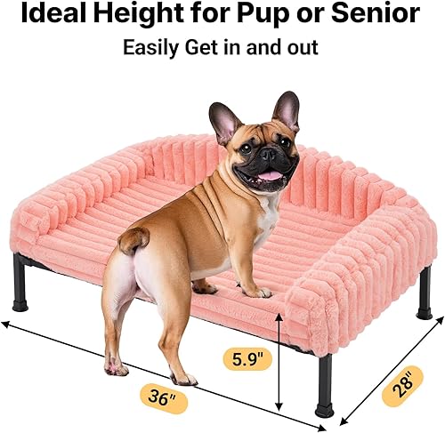 Miniatura 2 de Veehoo Cama elevada para perros con cojín de cojín, cama para perros pequeños, gatos, cama elevada lavable para mascotas con pies antideslizantes