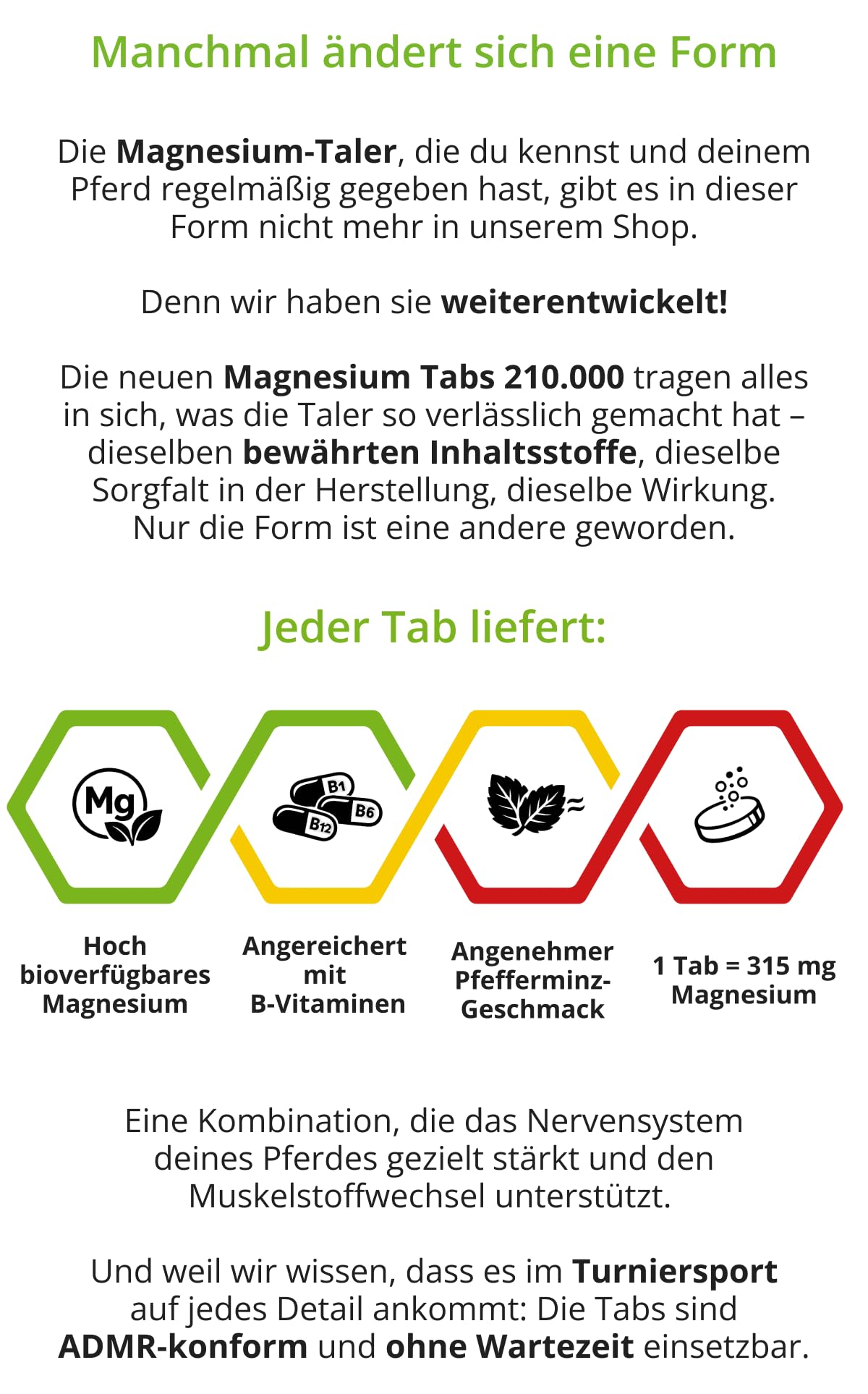 Magnesium Tabs Pferd 210.000 mg/kg + B-Vitamine | Für Nerven, Muskeln & Gelassenheit | Zuckerfrei & getreidefrei | Ergänzungsfutter Pferd | discountfutter.shop