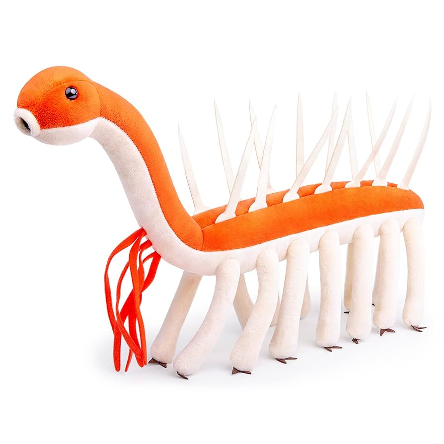 Amazon.co.jp: ZHONGXIN MADE リアルなカンブリア紀の古代生物