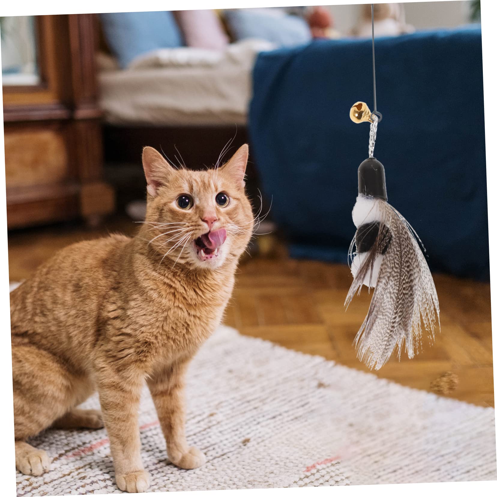 VANZACK 30stücke Teiliges Interaktive Katzenspielzeuge Mit Federn Und Schmetterlingen Ersatzköpfe Für Katzenangel Fördert Spiel Und Für Katzen Und Kätzchen