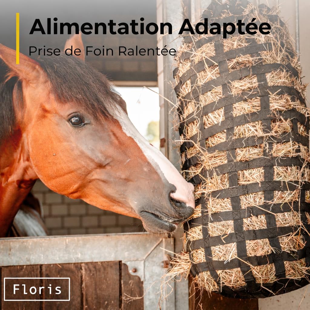 Flori's Filet à foin pour chevaux à mailles serrées - Sac à foin de qualité supérieure pour chevaux à l'alimentation adaptée à l'espèce - 90 x 60 cm - Capacité : jusqu'à 3 kg - Râteau à foin - Jouet