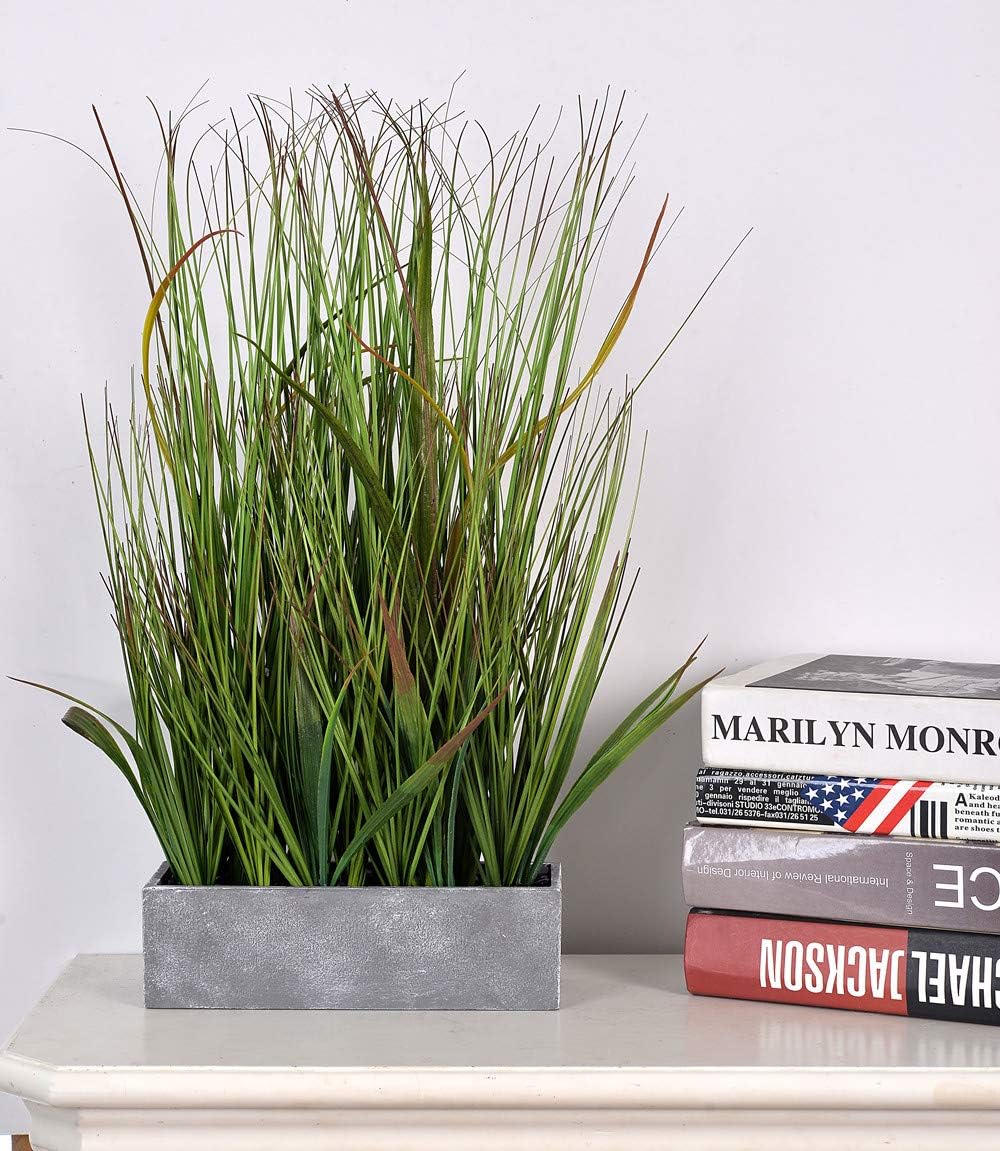 AlphaAcc 20 inch Green PVC Grass Plant in Pot Realistic Looking Fake Sea Grass for Home Office Decor: Kitchen & Dining