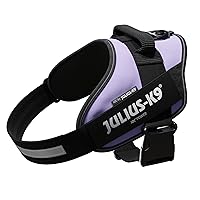 Julius-K9, Pettorina IDC Power