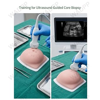 Ultrasound Breast Biopsy Training Model, High Fidelity Ultrasound Guided FNA Biopsy Simulator with Embedded Cysts and Tumors, for Medical Students & Clinical Skills Practice