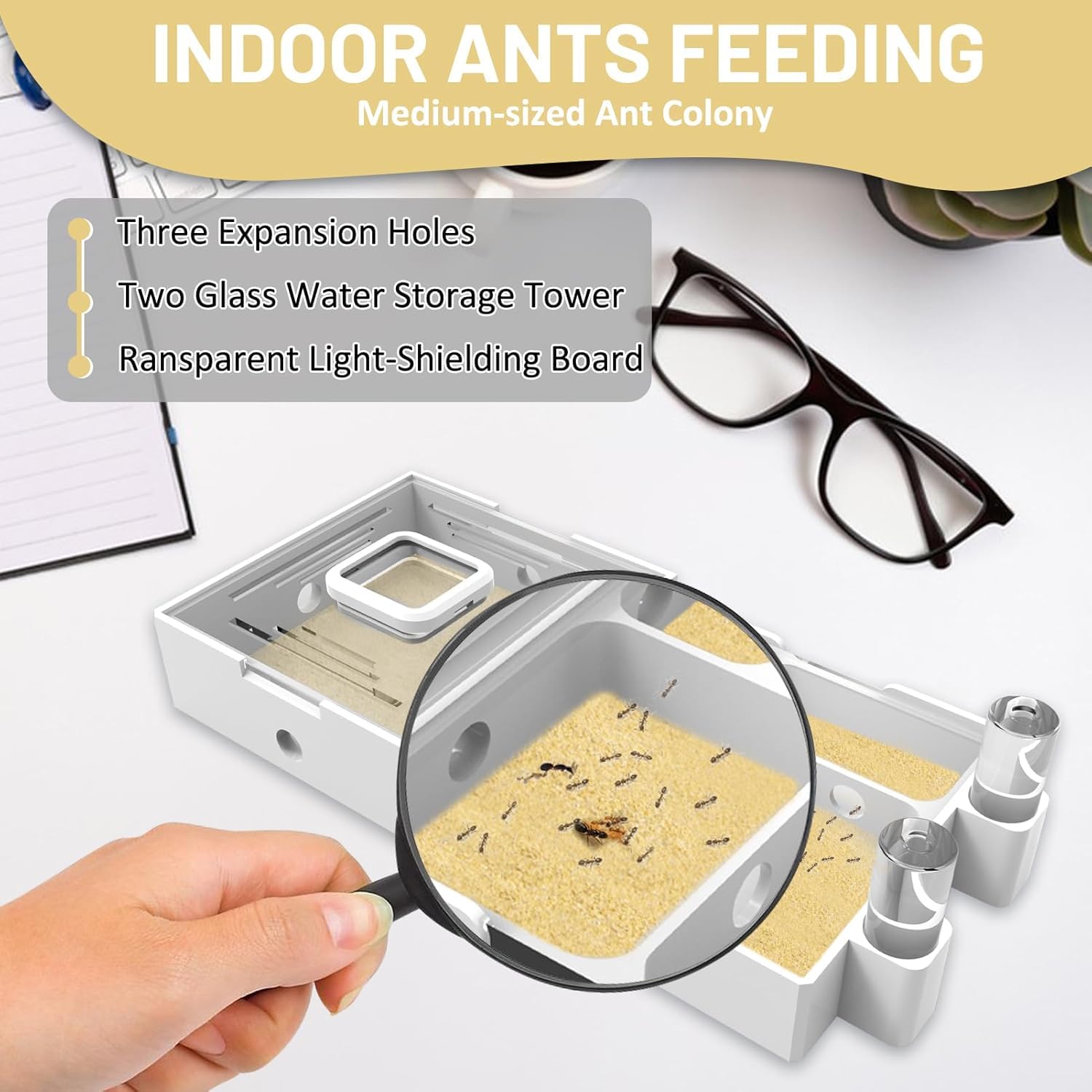 Nest Farm for Live Ants and Queen - Image 2