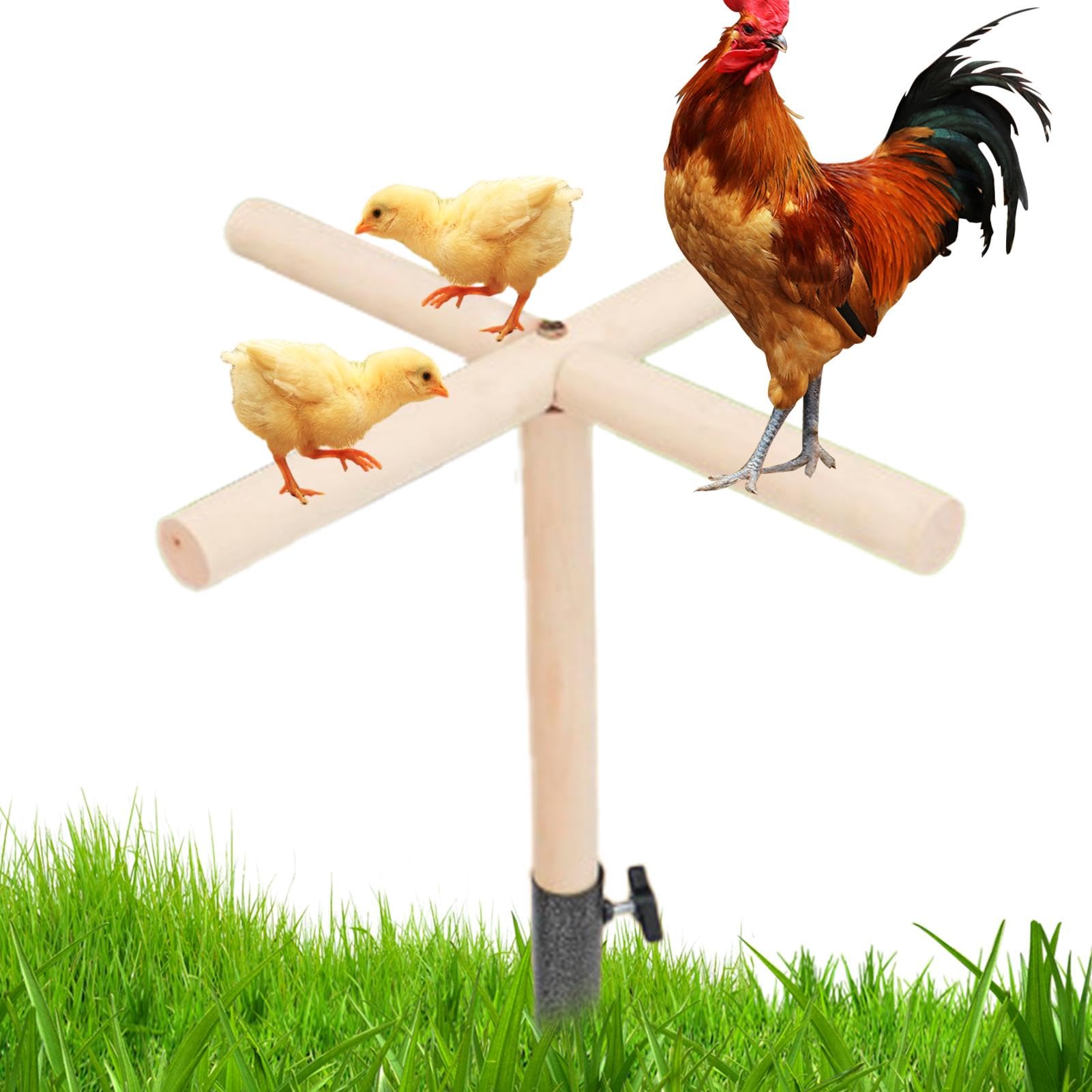 Chicken Perch For Coop, Chick Perch Stand, Hens Perch Stand, Chicks Gym Perch Stand, Playground Chicken Enrichment Toys, Chick Perch Stand, Ground Plug-In Perch For Hens, Parrots, Cockatiels