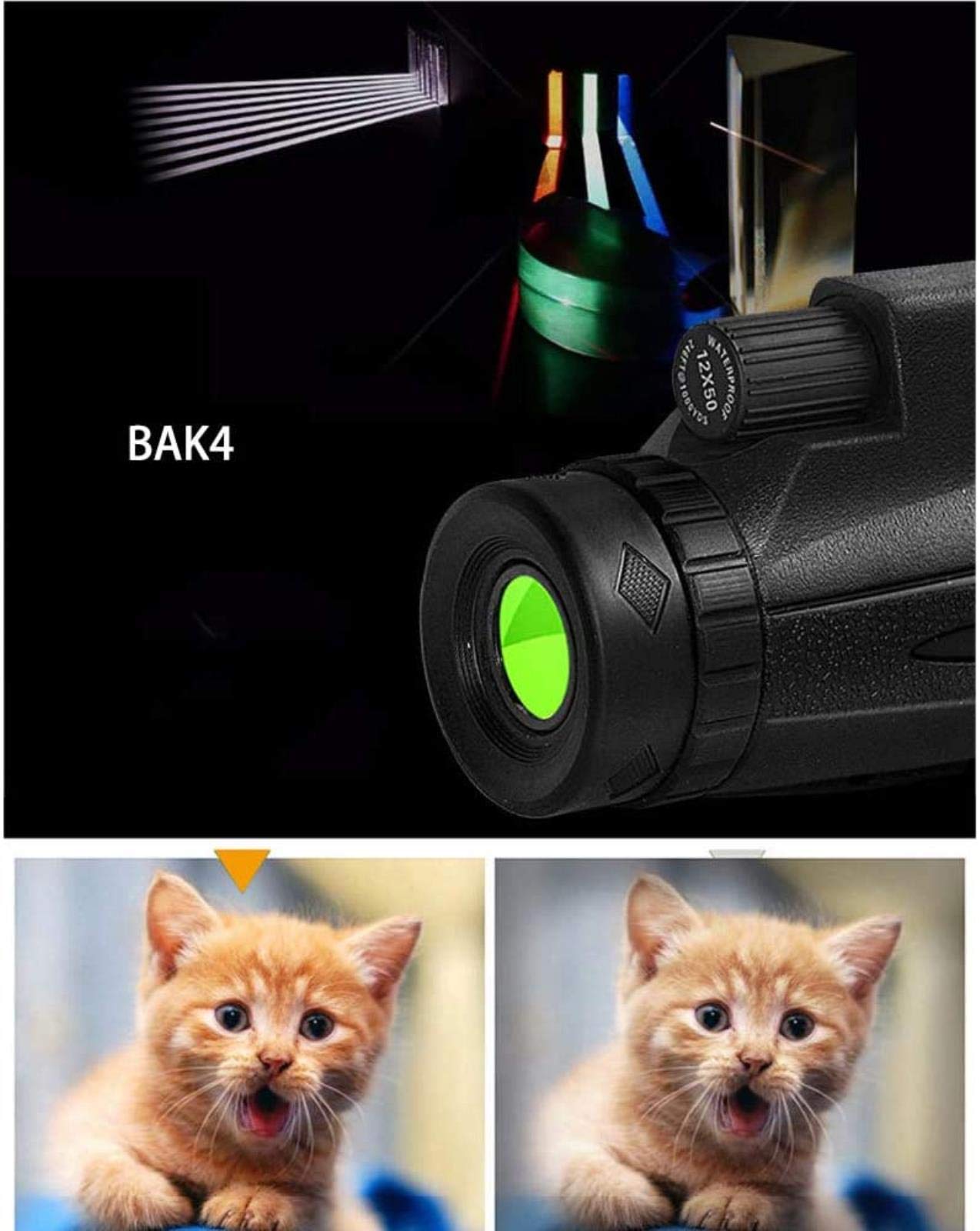 Jumelles compactes étanches 12x50, avec Objectif Prisme BAK4 Portable, Adaptateur pour Smartphone et trépied pour l'observation des Oiseaux, intérieur/extérieur