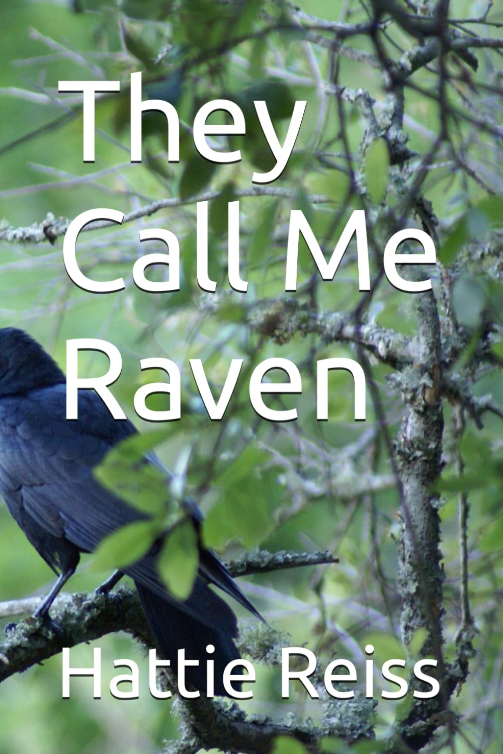 They Call Me Raven