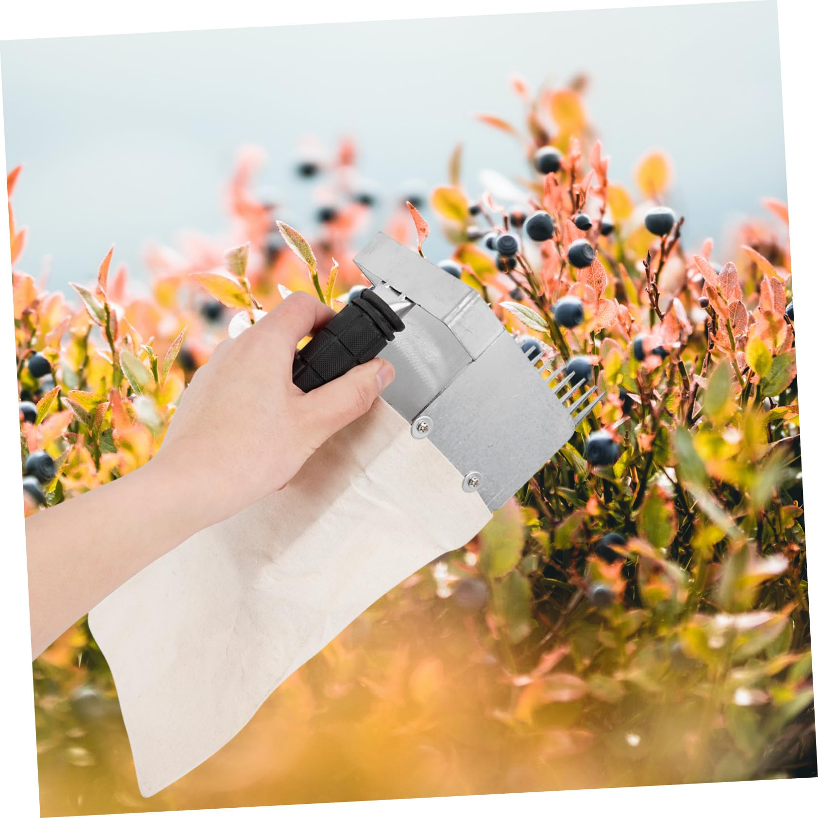 Hemobllo Recogedor De Arándanos y Pala Pequeña con Mango Ergonómico para Jardín, Herramienta Manual De 4,5 Mm, Ligera y Práctica para Cosecha Suave De Frutas En Huertos Exteriores