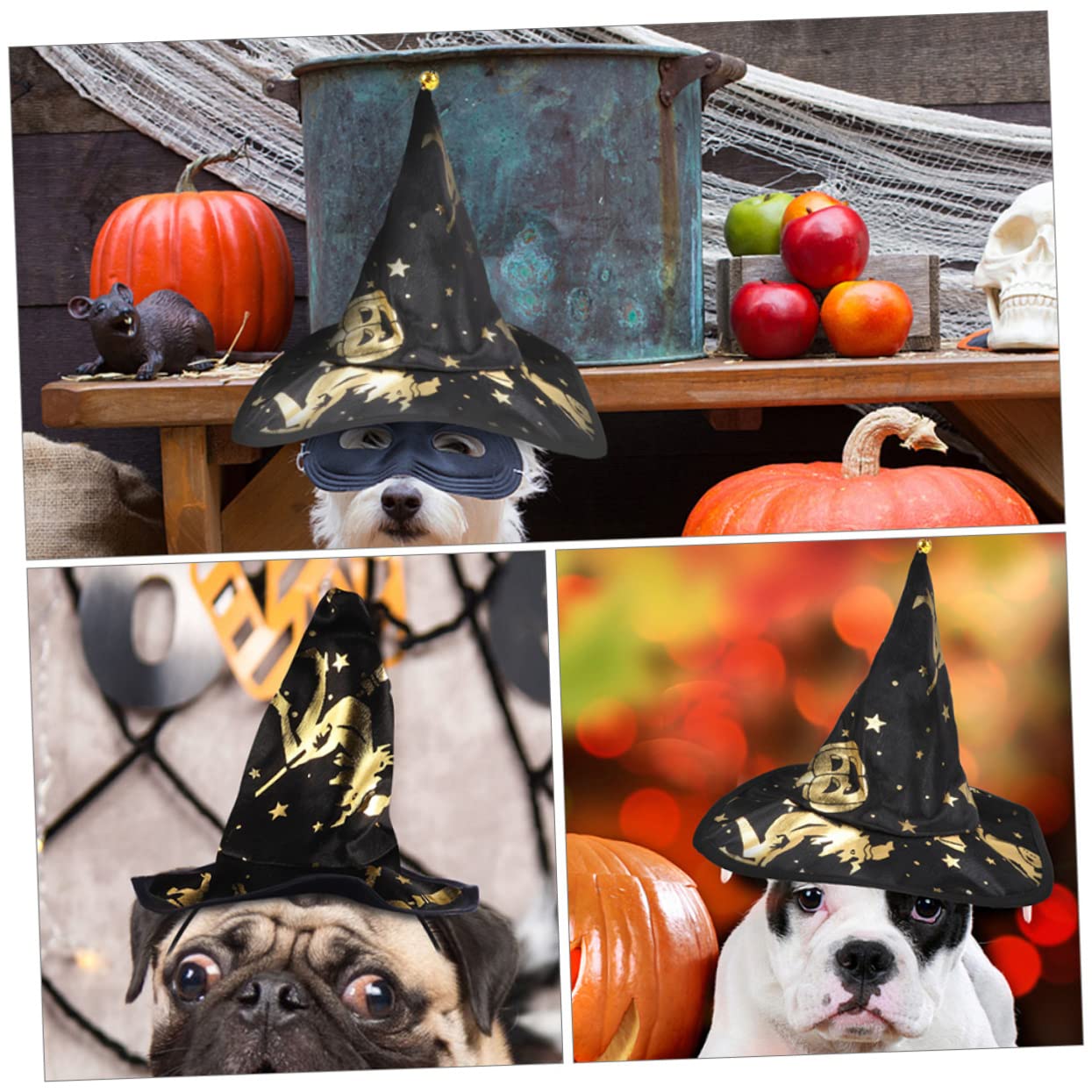 BESPORTBLE 5sets Costume Per Animali Domestici Con Cappello Da Stregone Set Chic Per Halloween Accessori Cosplay Per Cani e Gatti Materiale Leggero e Comodo Facile Da Indossare Per Festività