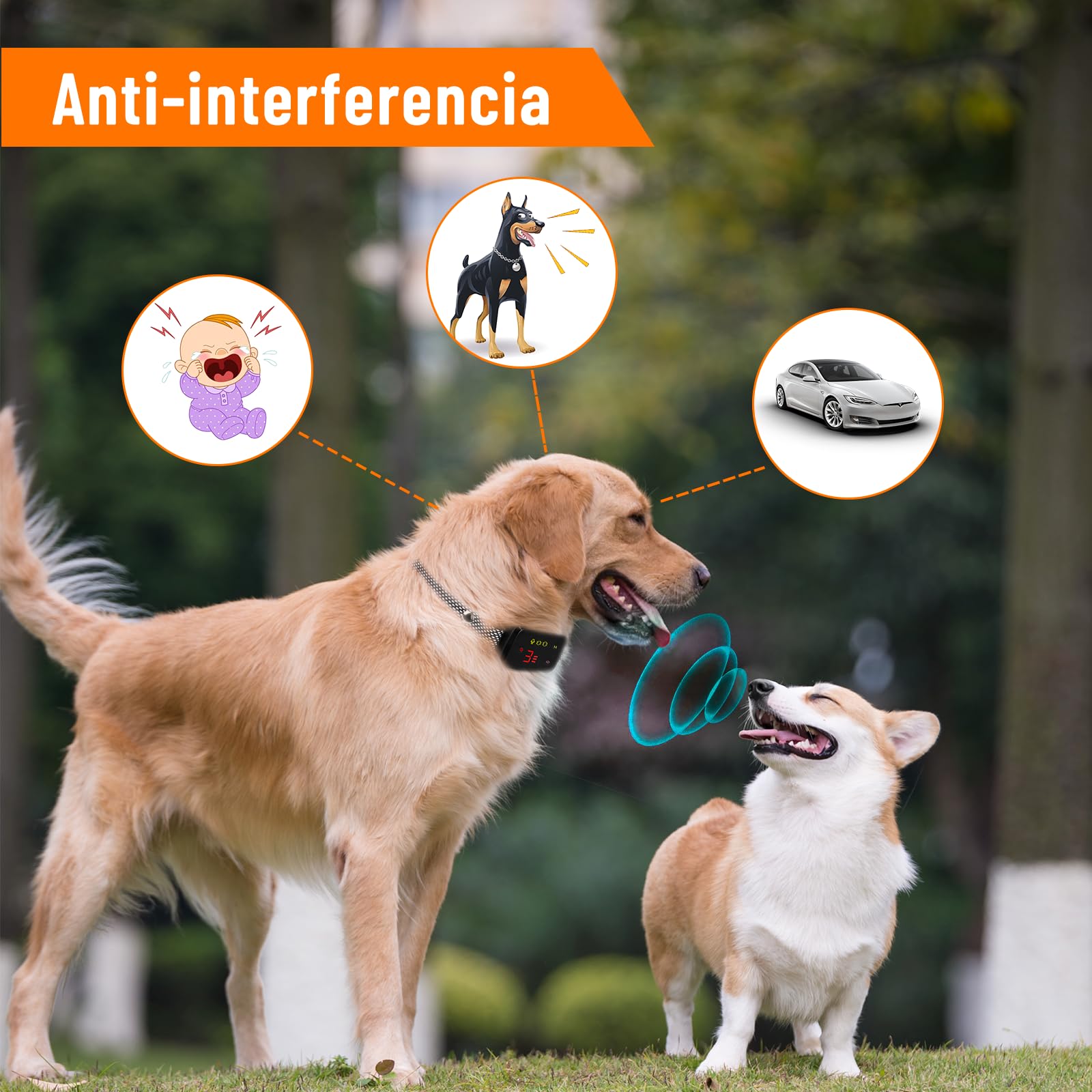 Collare Antiabbaio per Cani, Impermeabile IP67 Addestramento Intelligente Ricaricabile 8 Sensibilità suono e vibrazione Collare senza scosse adatto Cane di Piccola/Media/Grande Taglia