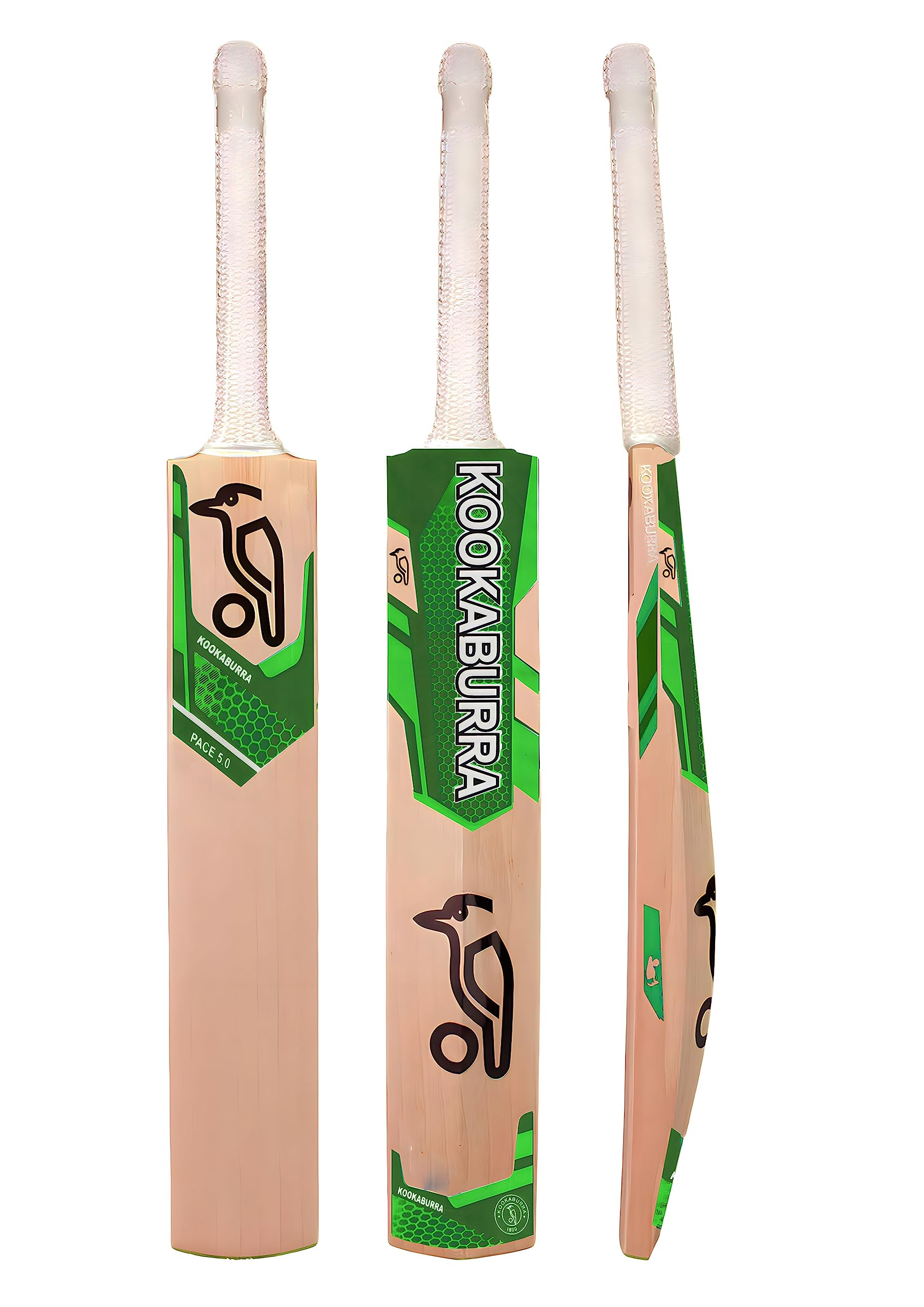 Florence Popular Willow Cricket Bat Full Size for Boys and Girls Advance Play…Multicolor (Popular Willow bat) (B0BZT44H1L) Amazon Price History, Amazon Price Tracker