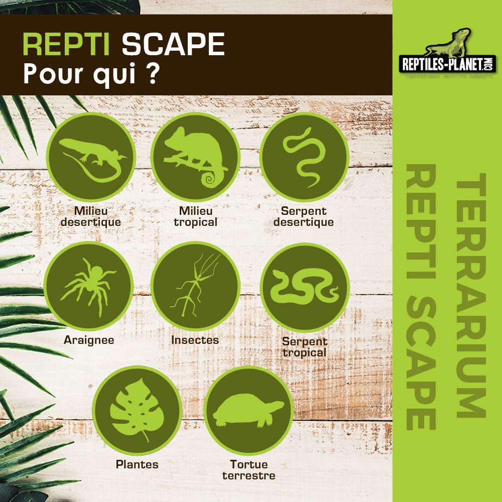 Reptiles Planet - Repti Scape H60 -Terrarium Aluminiun - 60x45x60 cm