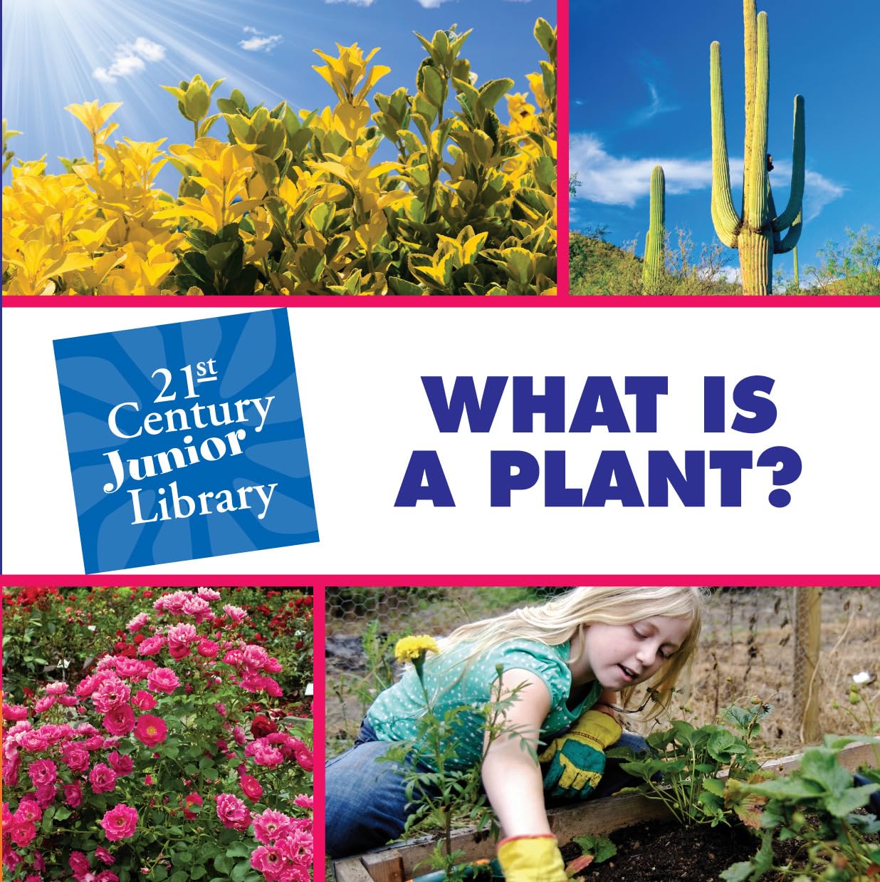 What is a Plant?