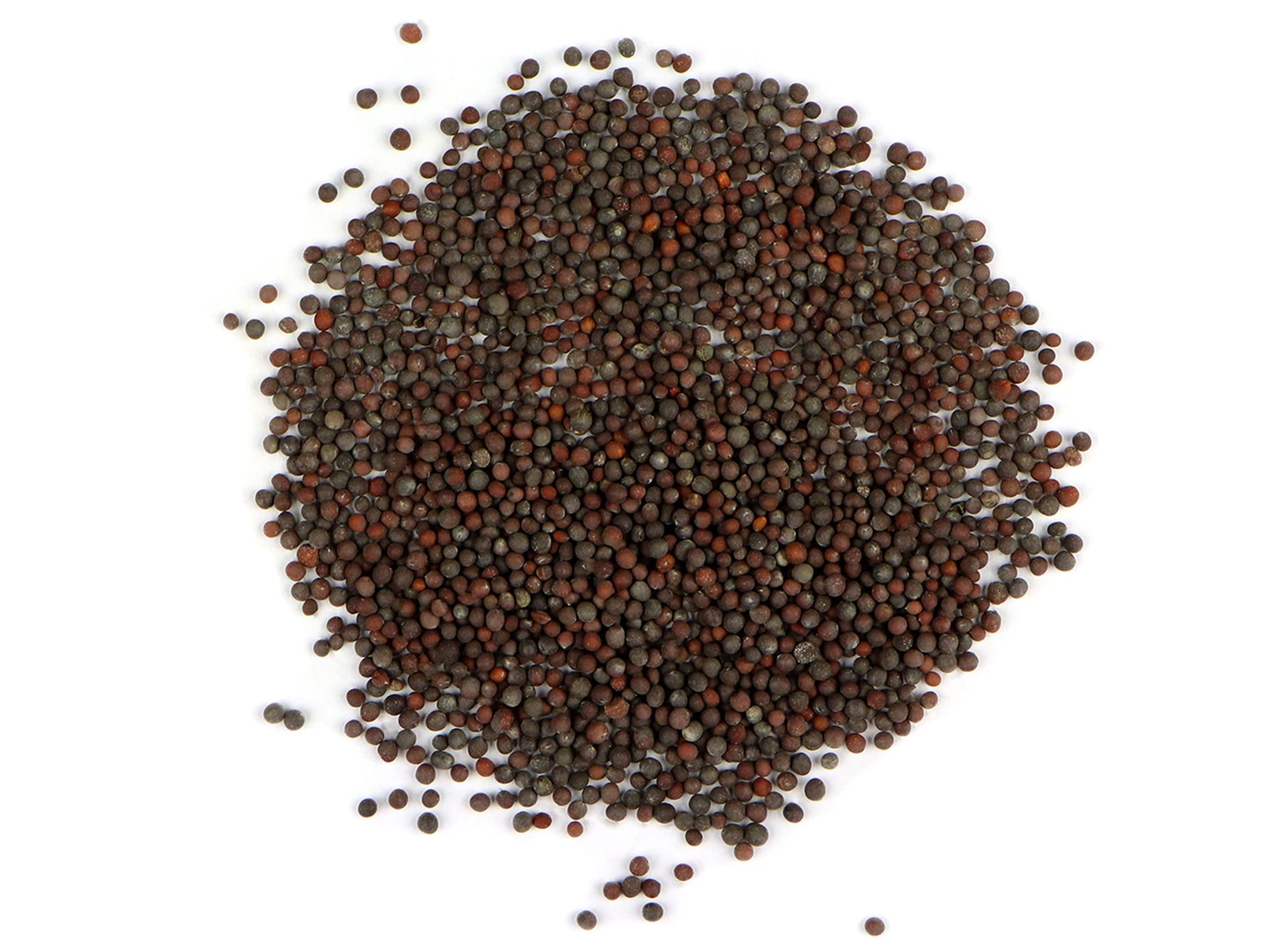 Green World Pusa Mustard 29 (LET-36) variety seeds/Sarso ke beej for Farming and Agricuture (250 Gms x pack of 2) (B0BBCYMQH9) Amazon Price History, Amazon Price Tracker