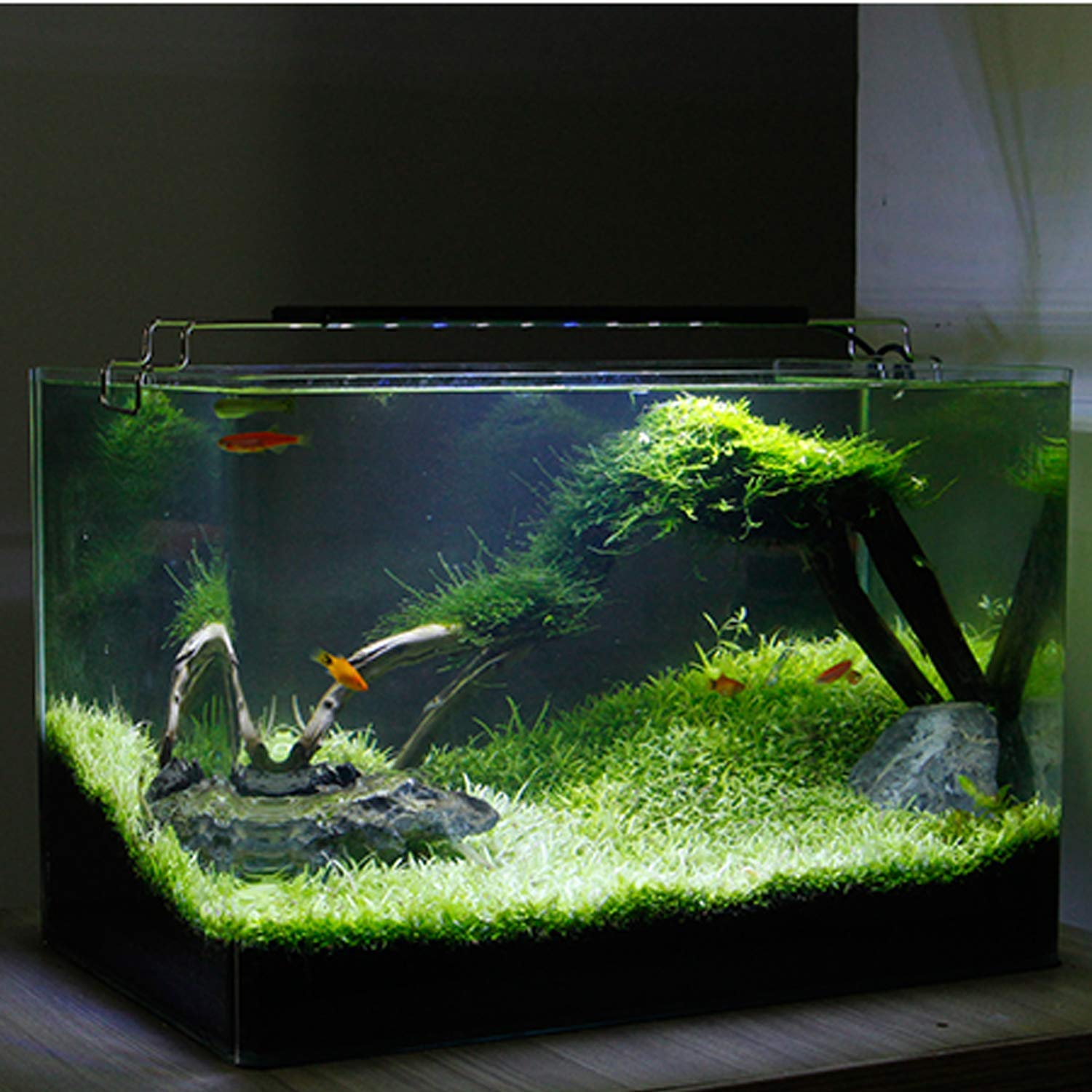 VENUS AQUA Adjustable Aquarium Led Lamp Blue and White Light (LED